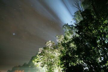 Scheinwerfer im Wald, Chile