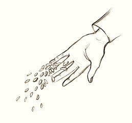 Pencil drawing. The hand sows the grain