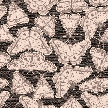 Magical moth pattern in warm dark autumn colors. Hand-drawn blush butterflies on the dark background. Insects illustration with alchemy look. Great for Halloween or fall decor. Seamless vector design.
