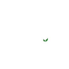 green leaf icons set on white background