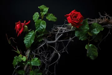Deurstickers blood red roses on a curly vine, ivy. thorns and green leaves. dry curly branches. toxic relationship.  © ana