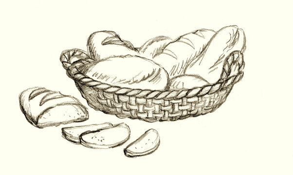 Tasty soft french crisp rye oat seed sweet dough cake biscuit pie set light text space backdrop. Black pencil line hand drawn kitchen diet menu grocery logo icon sign old retro outline doodl art style