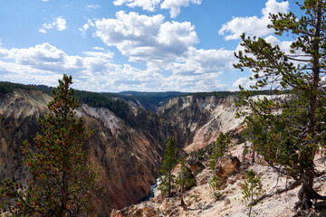 Fototapeta na wymiar Upper Falls view of the Grand Canyon of the Yellowstone in Yellowstone National Park