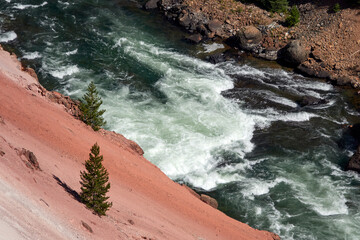 Upper Falls view of the Grand Canyon of the Yellowstone in Yellowstone National Park