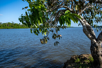 Rio Jari munic&iacute;pio de Vit&oacute;rio do Jari na Amaz&ocirc;nia. 