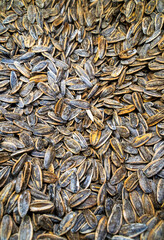 Sunflower seeds
