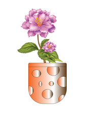 flower in a pot