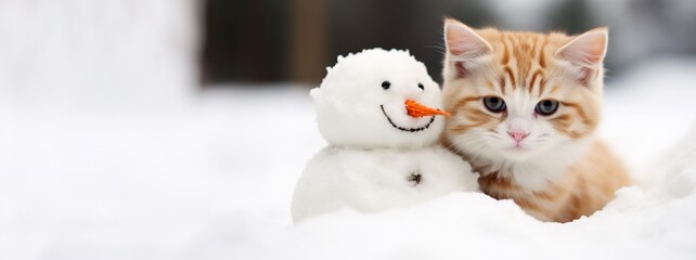 Cute cat is cuddling with a snowman isolated on snowy background with copy space, Christmas celebration banner.