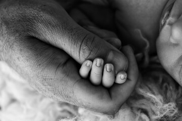 Close-up of a small hand of a child and the hand of mother and father. 