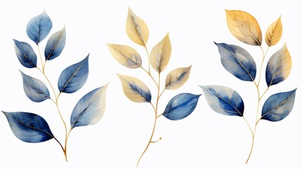 Nature background - three vibrant blue and yellow leaves against a crisp white background