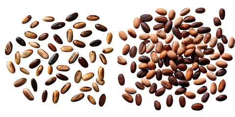 Png Set Kayu seeds Irvingia malayana benn roasted on transparent background