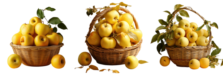 Png Set Basket of nutritious yellow apples transparent background