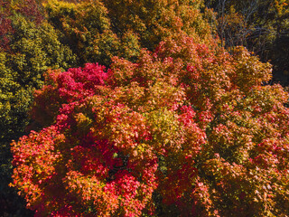 Autumn in Wisconsin USA