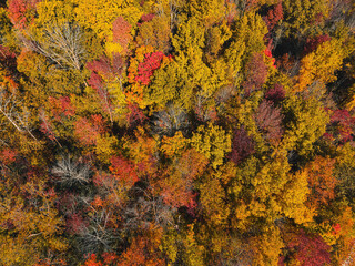 Aerial Drone View of Autumn Wisconsin