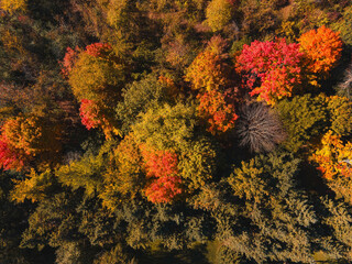 Aerial view high up in Autumn Wisconsin