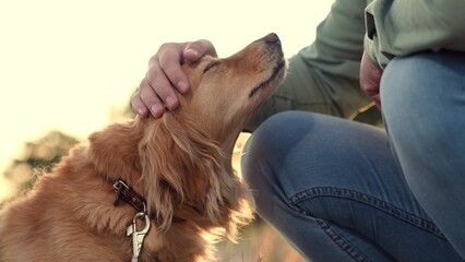 Owner holds paw and feeds red spaniel dog in park man owner teaches dog trick