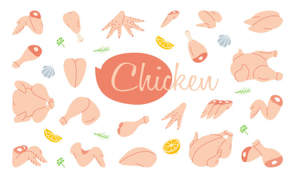 Chicken set. Butcher shop. Chicken farming products. Whole chicken, brisket wing, fillet, ham, leg, breast, shank, drumstick. Vector illustration.