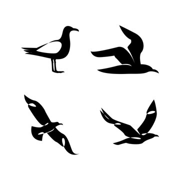 Seagull silhouette black white logo icon design template