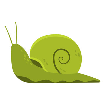 green snail vector illustration