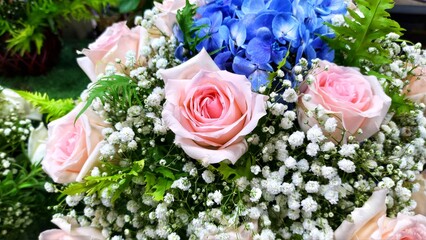 flowers decorations theme nature beautiful fresh 