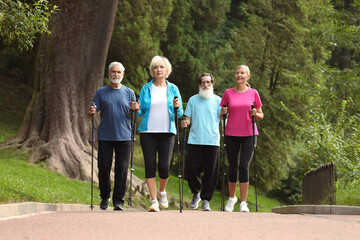 Group of senior people performing Nordic walking outdoors. Low angle view