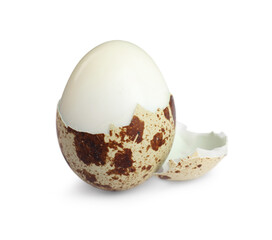 Boiled quail egg and pieces of shell isolated on white