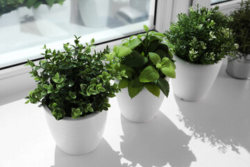 Artificial potted herbs on sunny day on windowsill indoors. Home decor