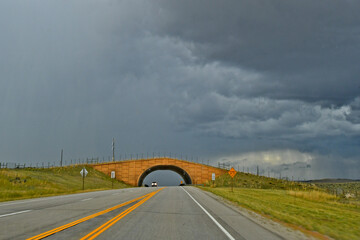 Wildlife Safety Bridge for Pronghorn Antelope migration on Highway 191, north of Pinedale, Wyoming 