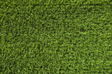 Artificial green grass texture