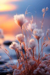 Crédence de cuisine  Landscape, pastel tones, foggy grass. AI generative  © SANGHYUN
