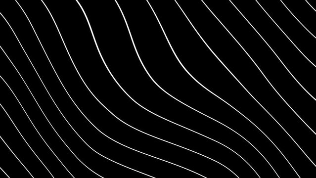 Shape flat seamless black white looped background. High quality 4k footage