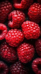 ripe raspberry closeup with waterdrops food photography