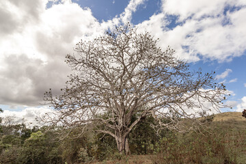 paisagem natural no distrito do Tabuleiro, cidade de Conceição do Mato Dentro, Estado de Minas Gerais, Brasil