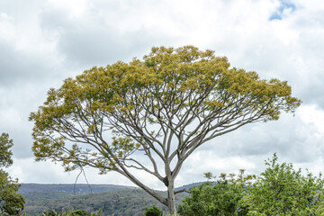 paisagem natural no distrito do Tabuleiro, cidade de Concei&ccedil;&atilde;o do Mato Dentro, Estado de Minas Gerais, Brasil