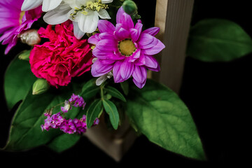 Color, flowers, close-up, fresh basket with natural gift