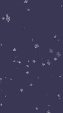Snowflakes falling 