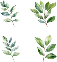 Set of watercolor green leaves branch elements, for Wedding Invitation, save the date, thank you, or greeting card 