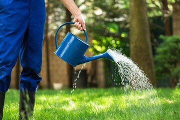Man watering grass from a watering can in garden,