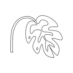 Organic leaf outline vector element