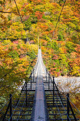 紅葉の畑薙大吊橋