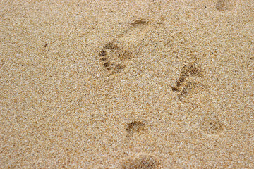 Human footprints on the beach