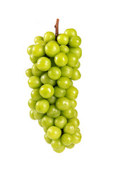 one bunch of fresh green shine muscat grape isolated on white background