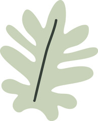 Obraz premium Algae plan aesthetic recolorable vector element