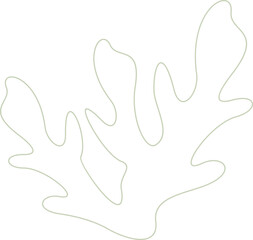 Algae plan aesthetic recolorable vector element