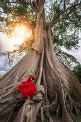 Bali Bayan Ancient Tree, 700 year old, Giant tree in Magra village, Tabanan, Bali, Indonesia.