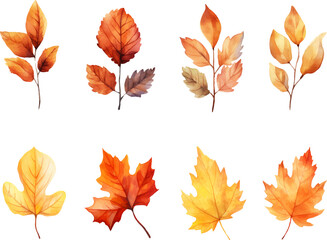 Naklejka premium autumn leaves watercolor set, Set of autumn maple leaves