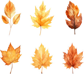 autumn leaves watercolor set, Set of autumn maple leaves
