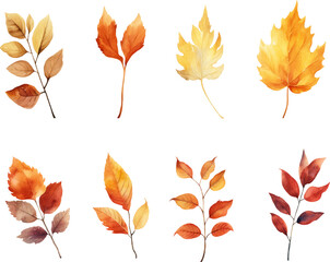 autumn leaves watercolor set, Set of autumn maple leaves