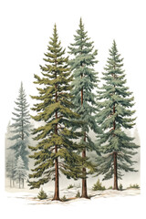Obraz premium snow covered pine trees vintage illustration isolated on a transparent background, generative ai