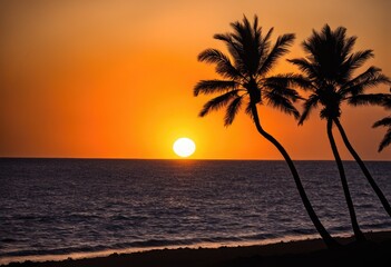 A sunset over the ocean with palm trees silhouetted against the sky